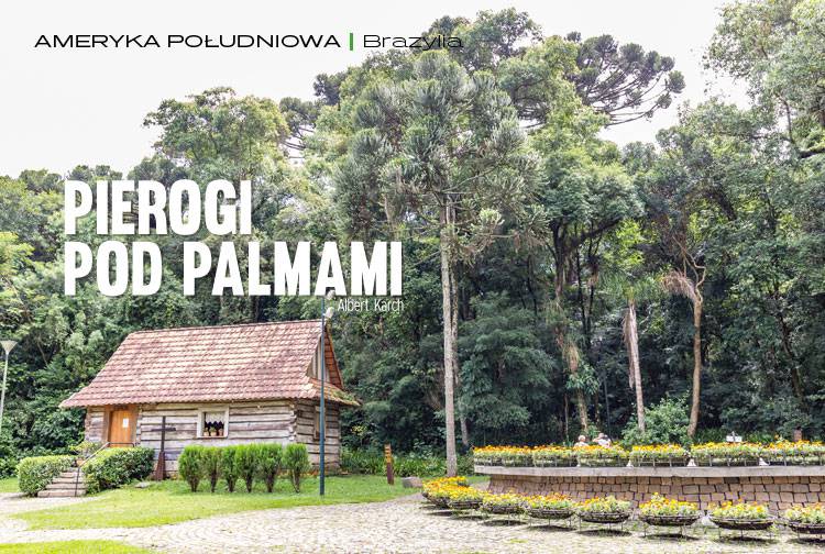 Losowy darmowy artykuł